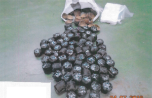 Coconut-Cannabis Smuggler Busted and Sent to Jail Coconut-Cannabis Smuggler Busted and Sent to Jail