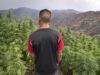 Unraveling the Hashish Culture in Morocco: A Complex Relationship Unraveling the Hashish Culture in Morocco