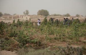 A Glimpse Into Afghanistan’s Traditional Cannabis Culture A Glimpse Into Afghanistan’s Traditional Cannabis Culture