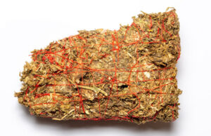 Thai Stick Cannabis: A Journey through the Golden Triangle