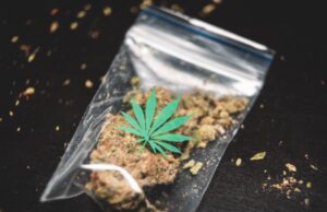 The Transformative Journey of Cannabis Packaging: From Black Market Dealers to Competitive Dispensaries