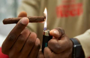 The Rise of Backwoods Cigars: A Staple in the US Cannabis Scene