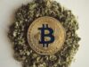 Bitcoin’s Potential in the Cannabis Industry: A Future of Secure and Transparent Transactions