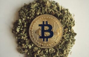 Bitcoin’s Potential in the Cannabis Industry: A Future of Secure and Transparent Transactions