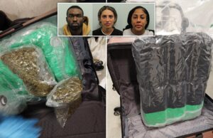 The Growing Impact of US and Canadian Imported Weed on UK Cannabis Farms: Is It Still Worth the Risk?