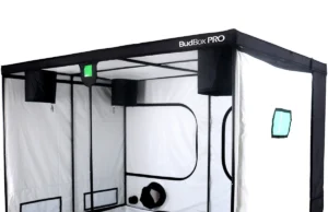 The Green Thumb Guide: Growing Your Own Weed on a Budget