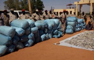 Sudan: The Largest Consumer of Cannabis in Africa