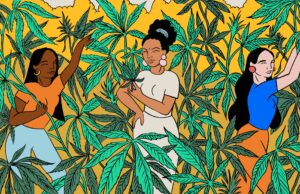 The Growing Demand for Graphic Designers in the Cannabis Industry