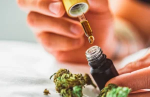 Full Spectrum CBD Oil: The Superior Choice for Optimal Benefits