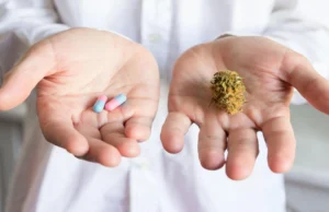 Private Cannabis Clinics in the UK: Exploring Alternative Treatments and Future Prospects