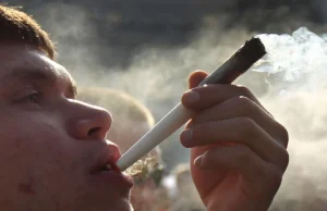 The Link Between Excessive Cannabis Consumption and Schizophrenia