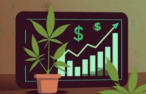 Maximizing Sales and Brand Awareness in the Cannabis Sector through Social Media Marketing: A Case Study of 24grow