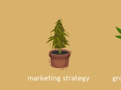 Exploring Advertising Opportunities for Cannabis Brands on Telegram: A Focus on 24grow