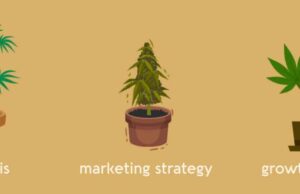 Exploring Advertising Opportunities for Cannabis Brands on Telegram: A Focus on 24grow