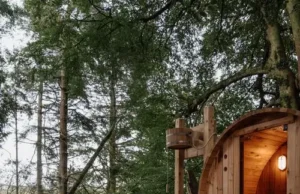 Cannabis Retreats: A Glimpse into the Future of Relaxation Therapy