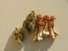 The Impact of Mixing Cannabis and Magic Mushrooms