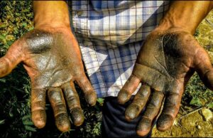 Charas: Exploring India’s Creamy Cannabis Delicacy