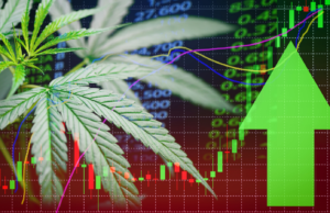 Navigating the Risks and Rewards of Investing in Cannabis Stocks