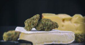 Luton Cheese: The Iconic Strain That Took the UK by Storm