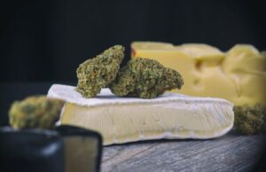 Luton Cheese: The Iconic Strain That Took the UK by Storm