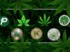 Exploring the World of Cannabis Cryptocurrencies: Revolutionizing Transactions in the Marijuana Industry