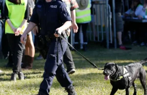 Cannabis Users and Drug Dogs: Laws and Body Searches