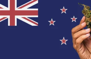 “Orange Roughy”: New Zealand’s Answer to Star Dawg