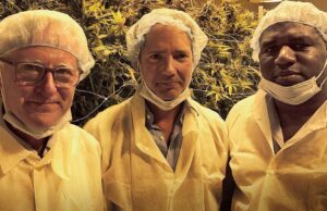 The Potential Economic Benefits of Legalizing the Cannabis Industry in the UK