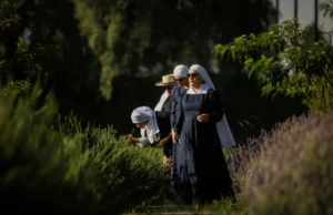 Mexico’s Weed ‘Nuns’: Taking Back the Plant from the Narcos
