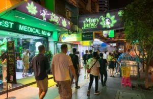 Thailand Moves to Ban Recreational Cannabis Use, 18 Months After Historic Decriminalization